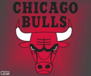yapboz Logo Chicago Bulls, NBA takımı. Merkez Grubu, Doğu Konferansı